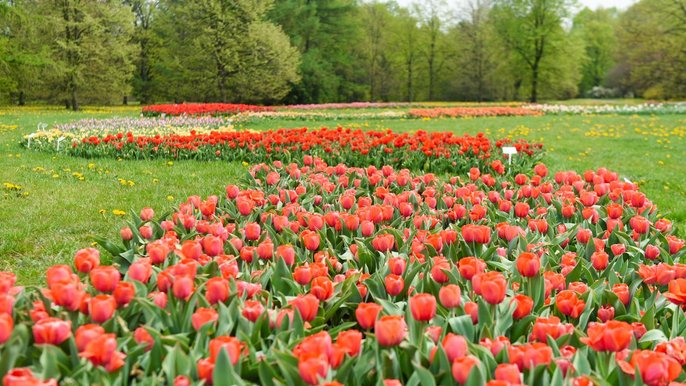 Łódzki Ogród Botaniczny - fot. Archiwum UMŁ