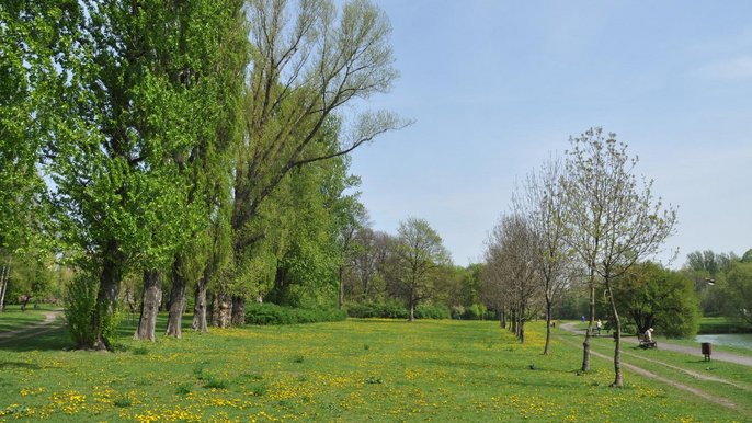 Park nad Jasieniem 