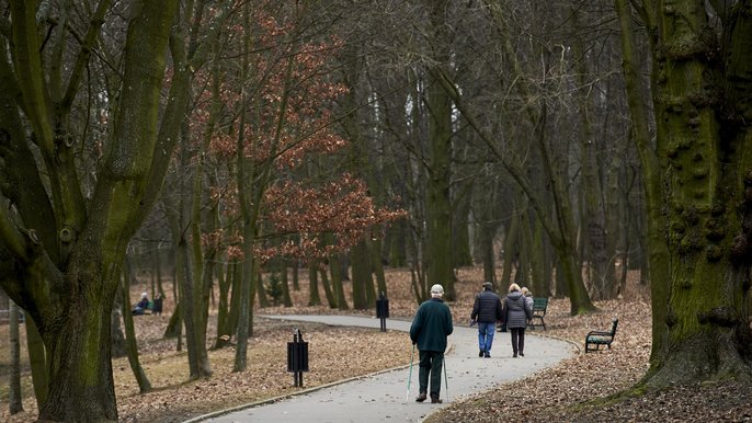 Park Julianowski - fot. Radosław Jóźwiak