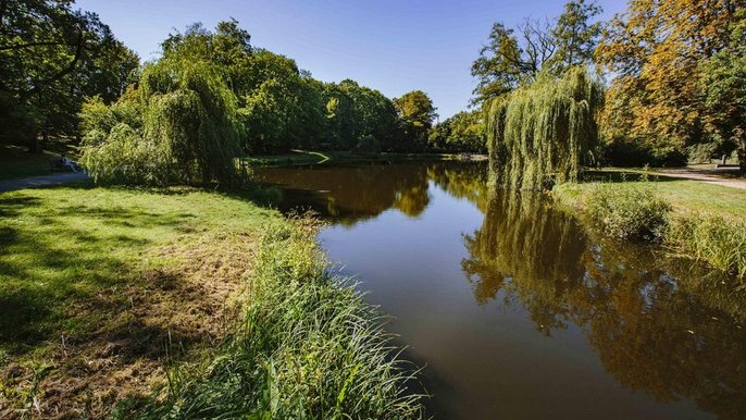 Miasto planuje stworzenie szlaku łączącego Las Łagiewnicki, Staw Wasiaka, park im. Adama Mickiewicza z parkiem Nad Sokołówką, który w ostatnich latach został przebudowany dzięki budżetowi obywatelskiemu. - fot. Archiwum UMŁ