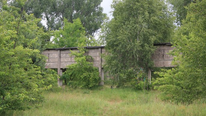  - Spacer Zielonej Łodzi po Brusie